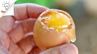 8 טריקים לבישול ביצים | מתכוני ביצים | תאיטריק