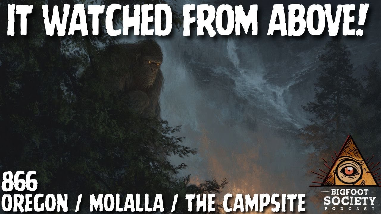 Eight Feet of Fury: Oregon’s Sasquatch Strikes