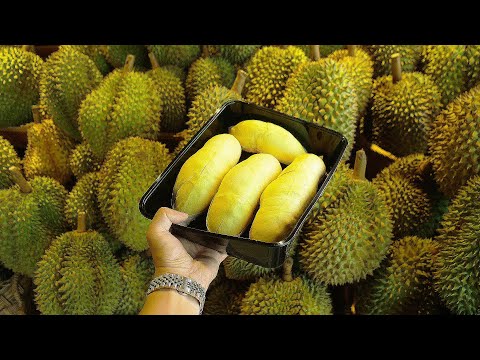 Taste of Heaven and Smell of Hell! Durian Fruit Cutting Skills!! - Laos Street Food