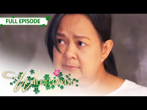 [ENG SUB] Ep 43 | Wildflower | Maja Salvador, Tirso Cruz III, Aiko Melendez