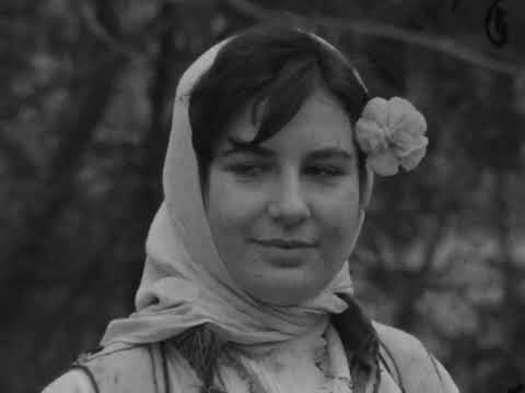 Пејачи и Песни, Вања Лазарова РТС, 1977