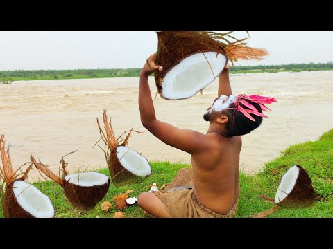 survival in Beautiful forest area - Rich Fruits at up the hill