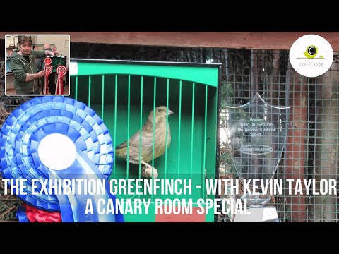 The Exhibition Greenfinch - With Kevin Taylor A Canary Room Special Film