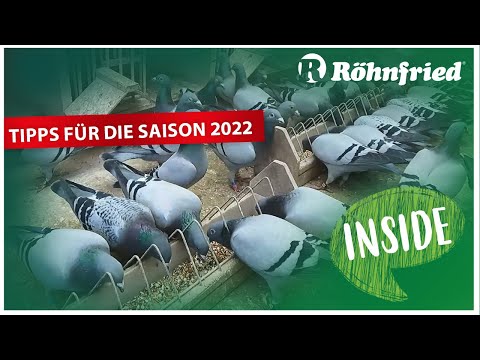 Röhnfried Inside Spezial - Tipps für die Saison 2022