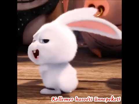 Vicces zene, menő zene, cigány zenék, vicces, zenék, zene, PirosNyúl, Táncoló nyúl, Nyuszi bugi vicc