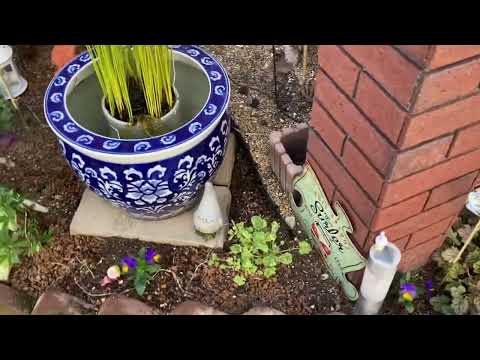 プランター-多肉植物-作った-流木