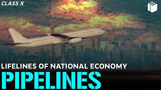 Pipelines | Lifelines of National Economy | Chapter 7 - Geography | Class 10 | PuStack
