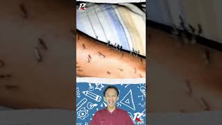 Download lagu Digigit nyamuk sampai banyak mp3