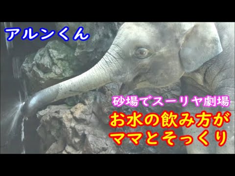 アルンくん、ウタイママとお水の飲み方がそっくり＆スーリヤ劇場　2022.07.22