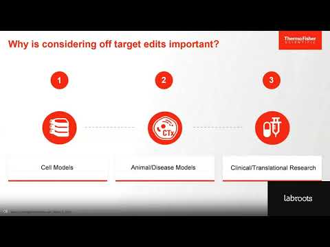 Considerations to Limit Off-Target Edits in your Gene Editing Experiments