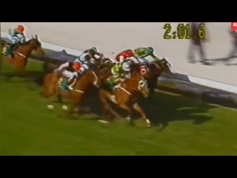 1992 Cox Plate - in depth look at the greatest field assembled in the race's history