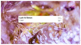 Lush & Simon  - Callin'