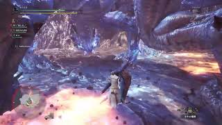 MHW 野良でリハビリツアー