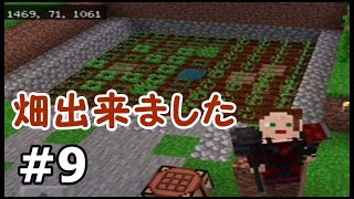 【初心者・マイクラ】畑作り