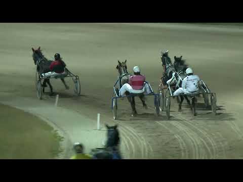 2018.12.26. 08. futam - ELEFÁNT HENDIKEP