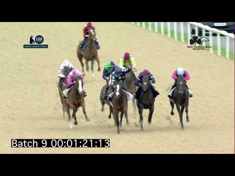 Irish EBF Barrier Trials 18 August 2021 - Batch 09