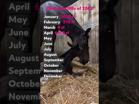 Zdrowy jak koń! No chyba nie…