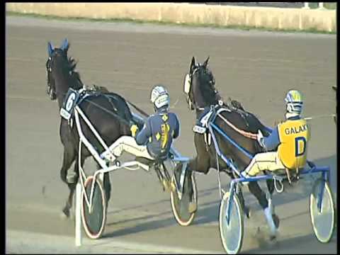 Trotto 12/02/2016 - 5° corsa