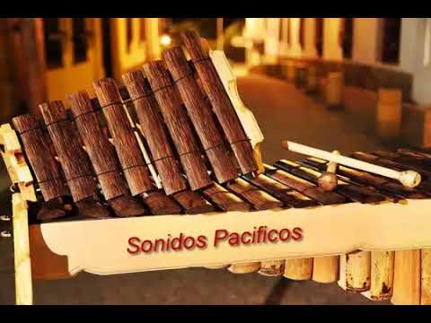 El Birimbí-Chirimía Chocoana