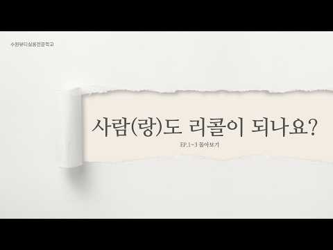 비디오 8