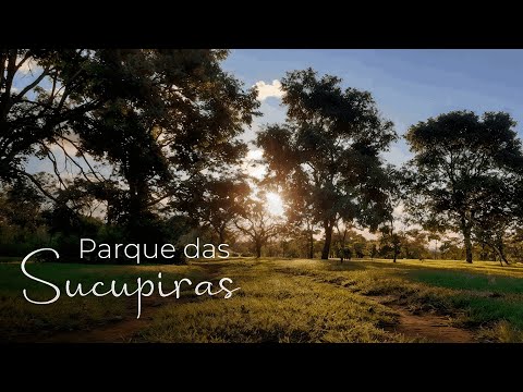 Parque das Sucupiras na nova Quadra 500 do Setor Sudoeste