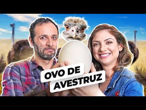 COMEMOS um OVO de AVESTRUZ de 2 MIL CALORIAS