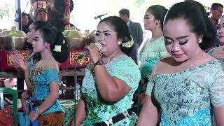 Download lagu GAMBIR SAWIT - GARWANE WONG LIYO _ TAYUB MARDI BUDOYO mp3 Download lagu GAMBIR SAWIT - GARWANE WONG LIYO _ TAYUB MARDI BUDOYO mp3