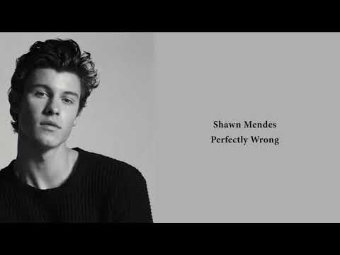 Shawn Mendes - Perfectly Wrong (Lyrics/Letra)