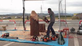 preview picture of video 'Chainsaw art Demonstration in Kitaakita-city（Oct.22.2011）'