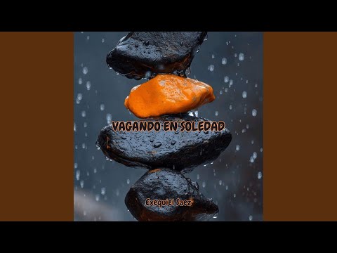 VAGANDO EN SOLEDAD