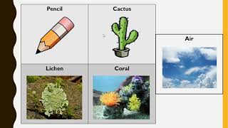 Biology: Lab #10 - Is It Alive?