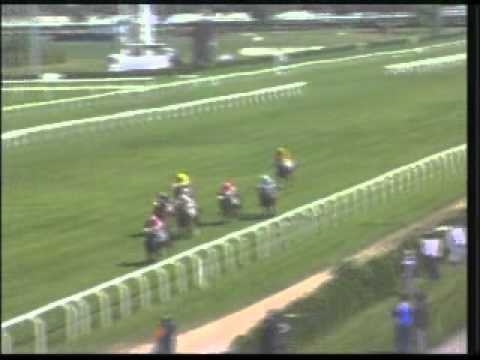 Premio San Colombano, Worthadd