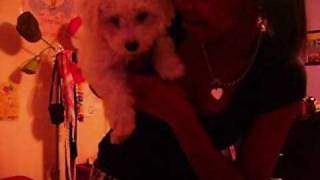 The Perfect Scene - Mercy Mercedes [Music Video]