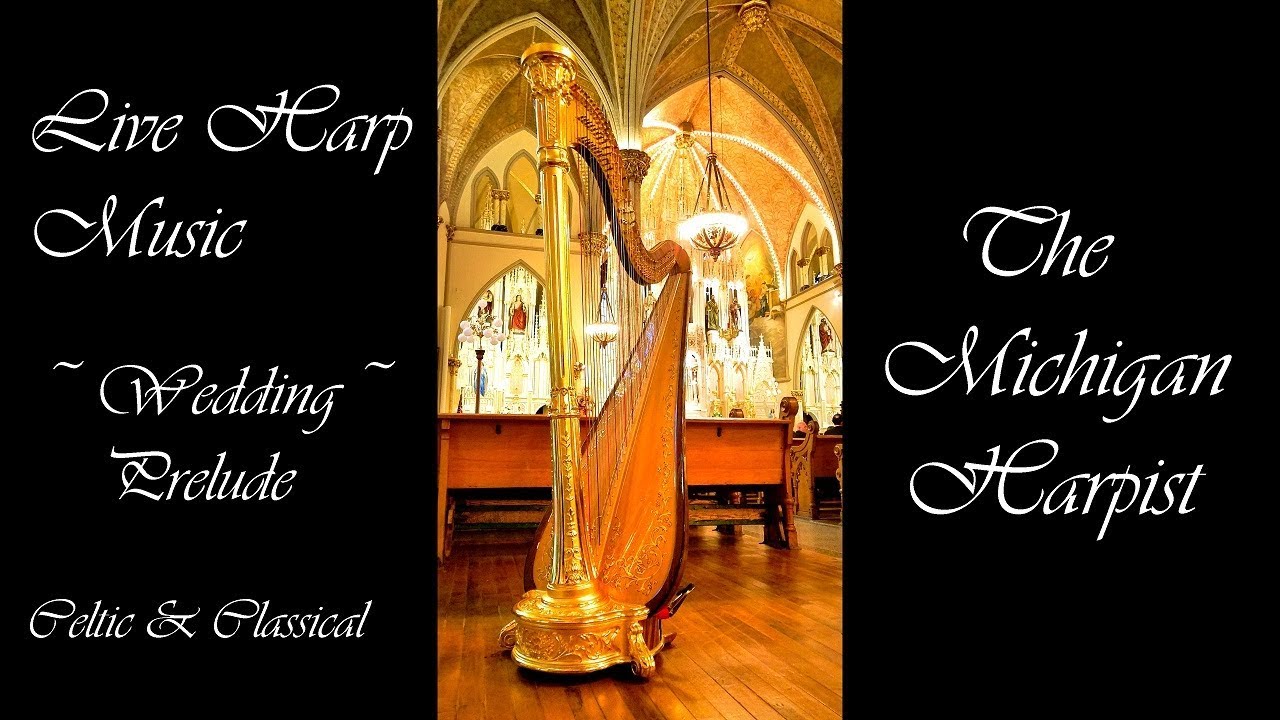 Promotional video thumbnail 13 for Chanah Ambuter, Harpist