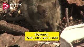 Intermediate - Day 12 - A mouse in a house