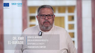 Green Hydrogen in Egypt: A Dialogue Between Continents. Interview with Dr. Amr El Baradie