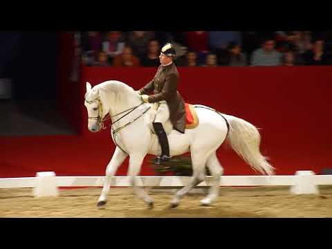 The Spanish Riding School of Vienna