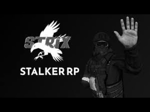 Котенок в мире дейза?| Strix Stalker RP | #dayz #strixrp🤑