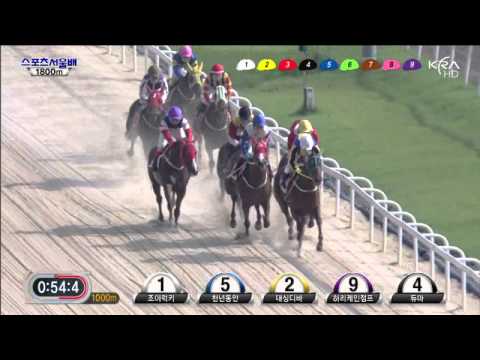 Sports Seoul Cup 2013 Joy Lucky