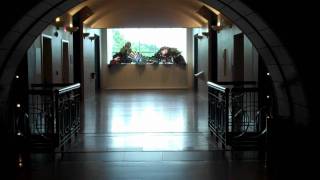 Nancy and David Wolf Collection
