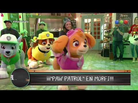 ¡Show de Paw Patrol en vivo! - Morfi