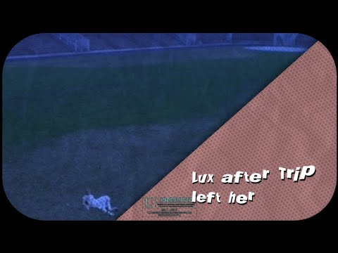 Lux after Trip left her (The Virgin Suicides scenepack)