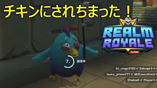 【Realm Royale】またまたドン勝！【Möbius Syndrome】