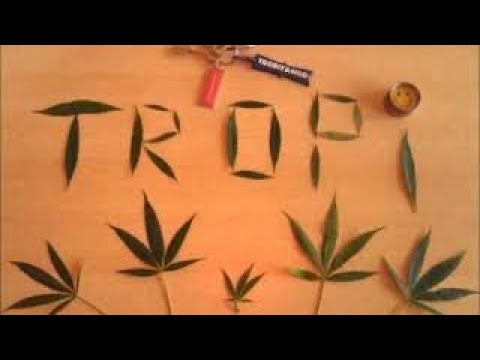 101 CUMBIAS COLOMBIANAS Y MEXICANAS ❤ TROPITANGO ❤ (PARTE 1)