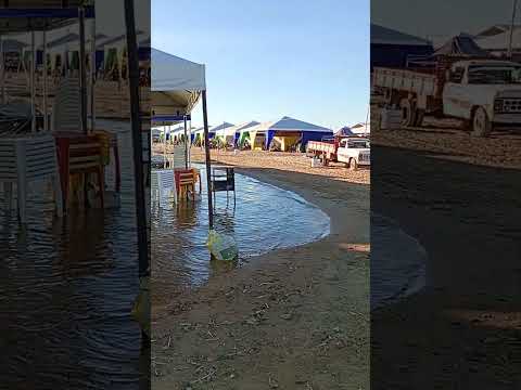 praia da tartaruga peixe Tocantins