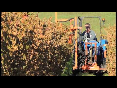 La dévrilleuse de Braun diminue le temps de tirage des bois