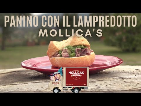 PANINO CON IL LAMPREDOTTO - Le ricette del Mollica's