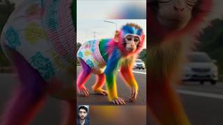 Download lagu Monyet lucu π
π€£π #monkey #monyet #monyetlucu #cutemonkey #lucu #kocak #ngakak #funny #monkeydluffy mp3 Download lagu Monyet lucu π
π€£π #monkey #monyet #monyetlucu #cutemonkey #lucu #kocak #ngakak #funny #monkeydluffy mp3