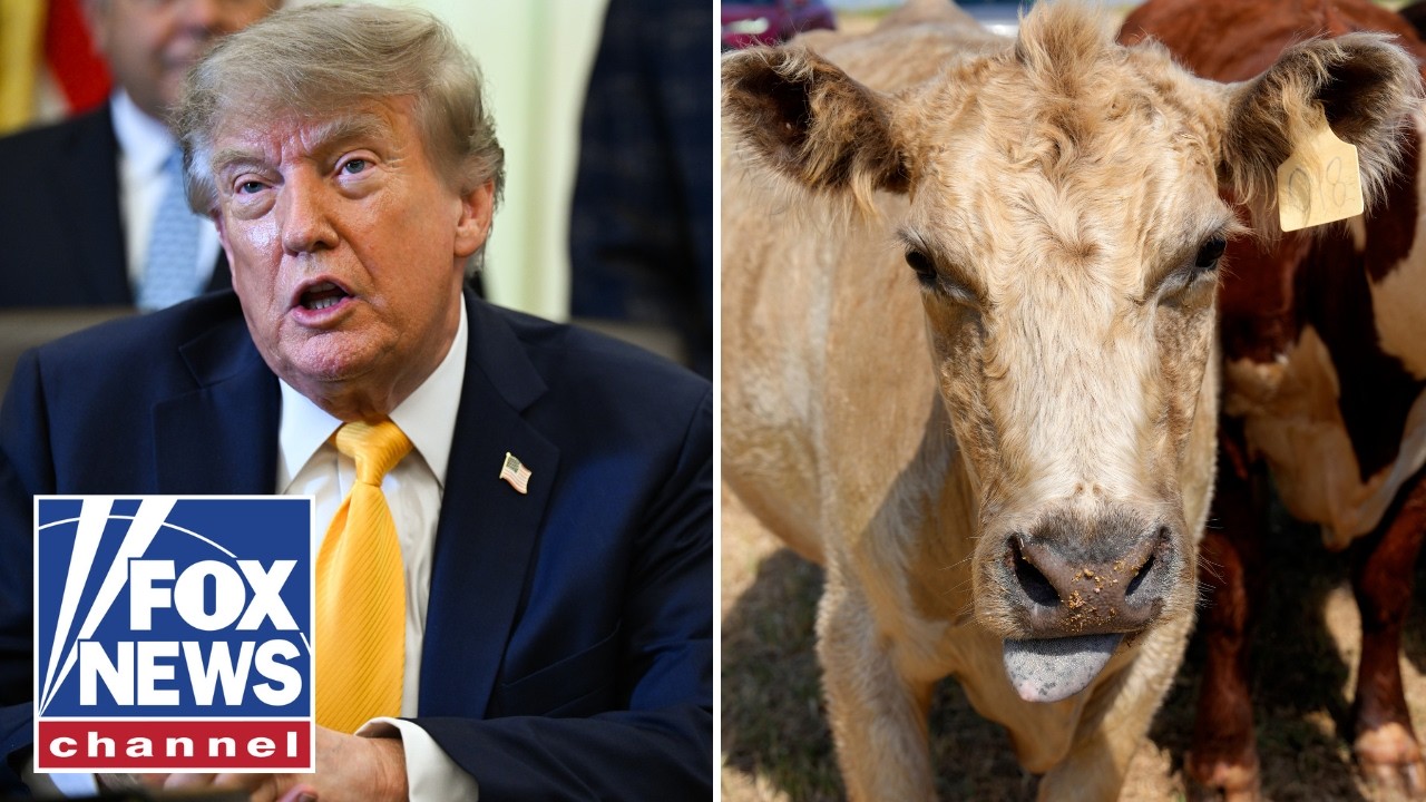 ‘TAKING ACTION’: Labor chief breaks down Trump’s push to help ranchers, farmers