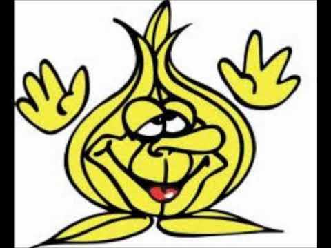 bal maskee-2 zjievereirs&1 masken